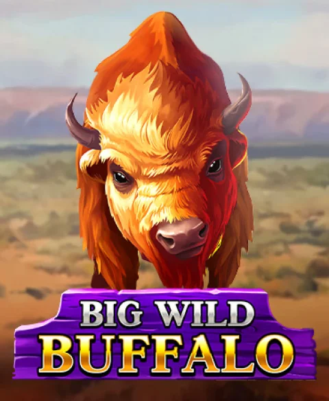 Spela Big Wild Buffalo på Spicy Jackpots Casino